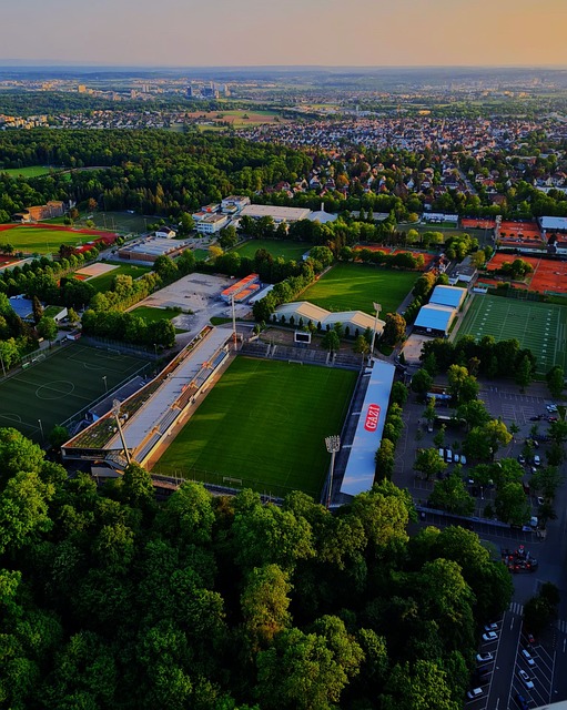 议员作为公 议员作为公